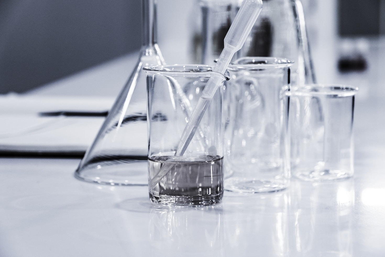Celebrating Milestones in Undergraduate Research