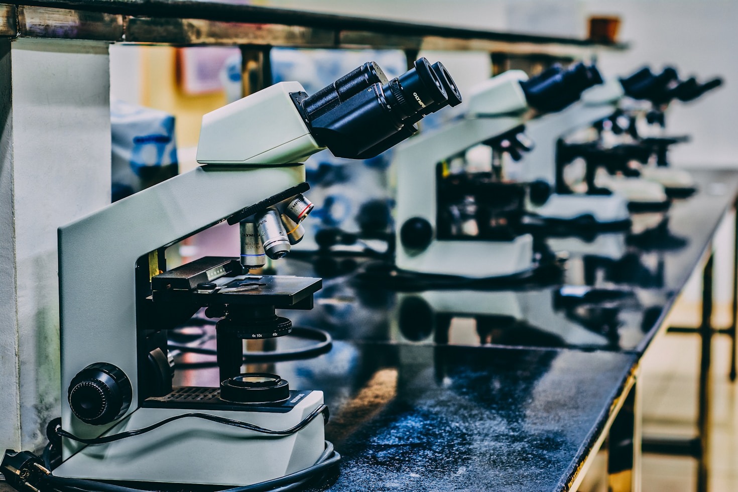 The Journey of a Louisiana Undergraduate Researcher